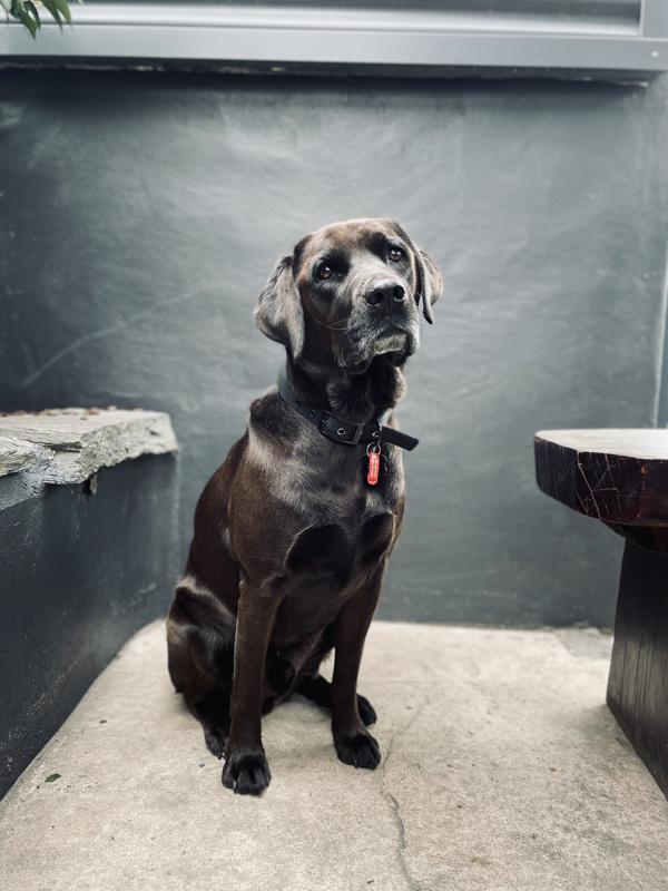 Winston